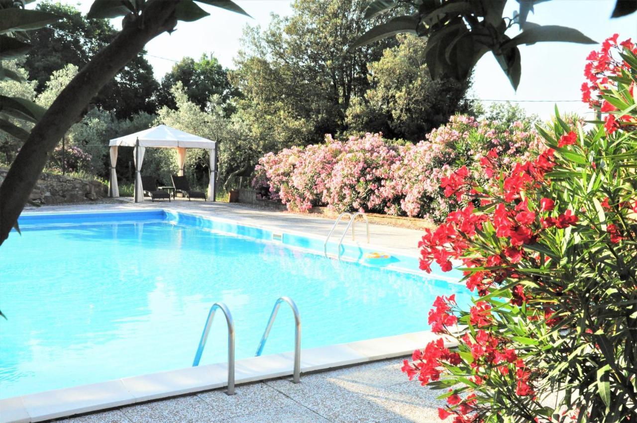 Agriturismo Pereti Roccatederighi ภายนอก รูปภาพ