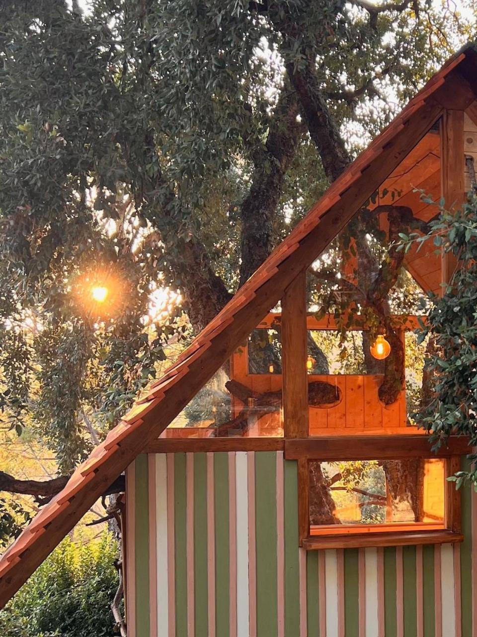 Agriturismo Pereti Roccatederighi ภายนอก รูปภาพ