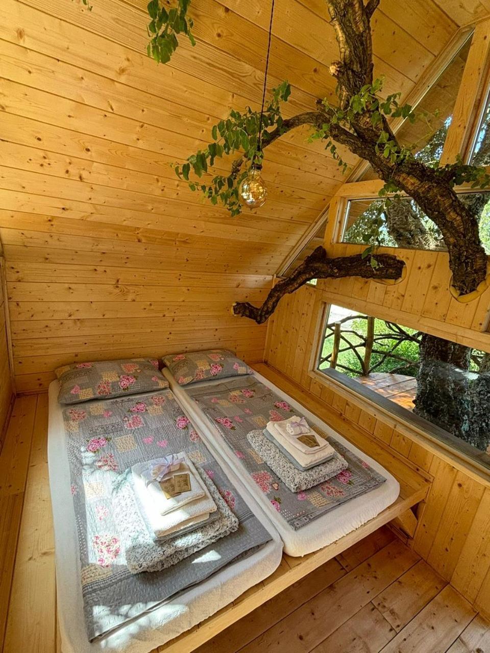 Agriturismo Pereti Roccatederighi ภายนอก รูปภาพ