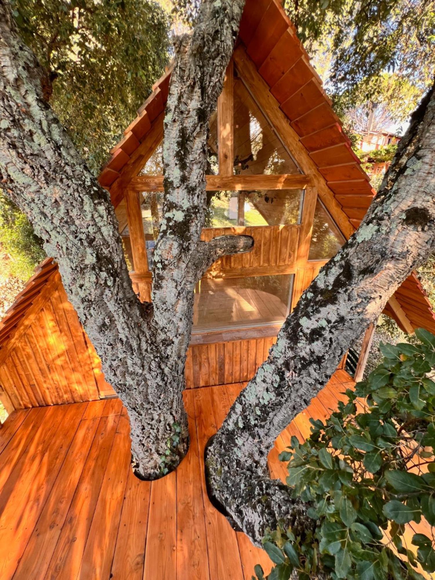 Agriturismo Pereti Roccatederighi ภายนอก รูปภาพ