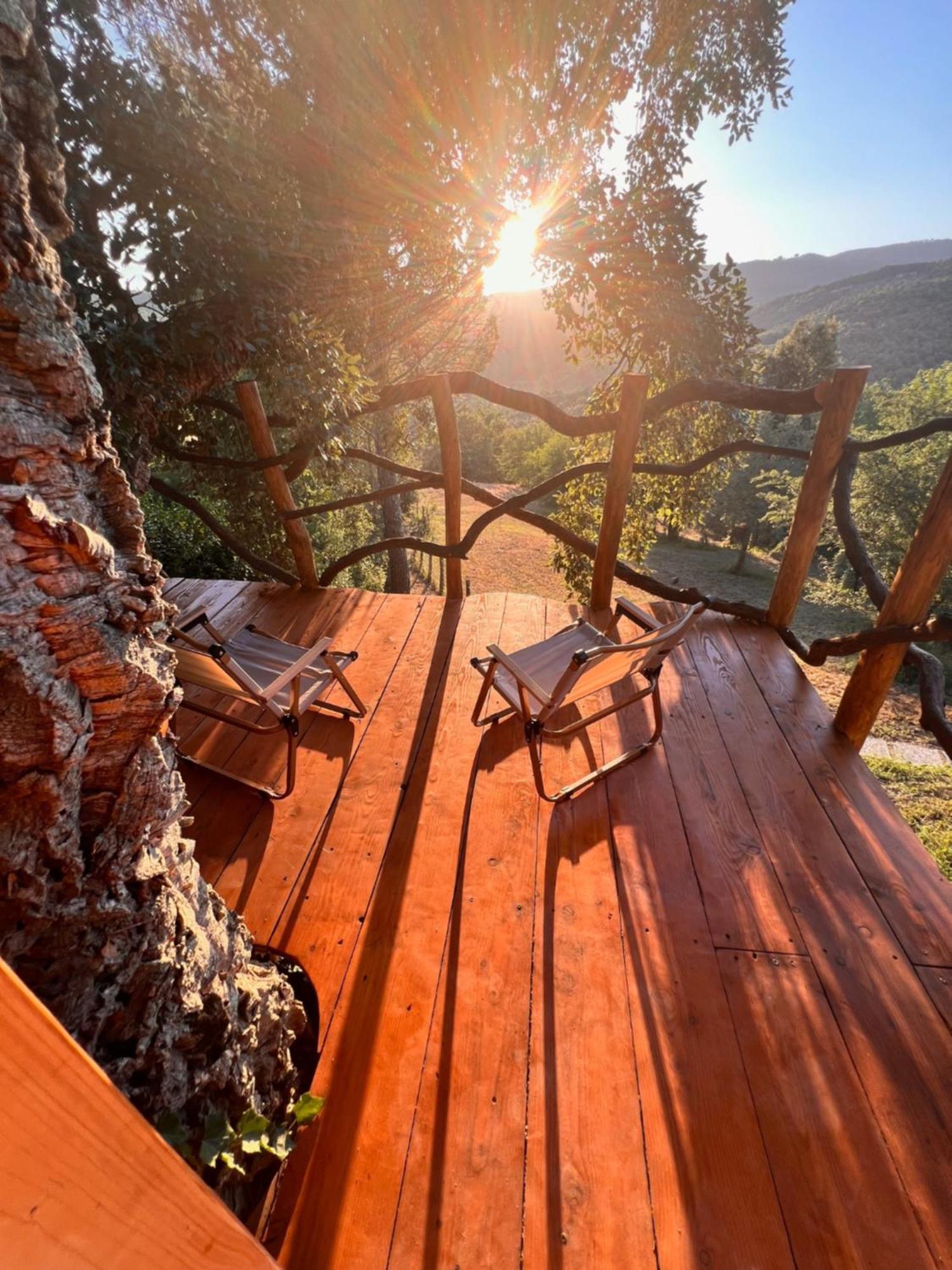 Agriturismo Pereti Roccatederighi ภายนอก รูปภาพ
