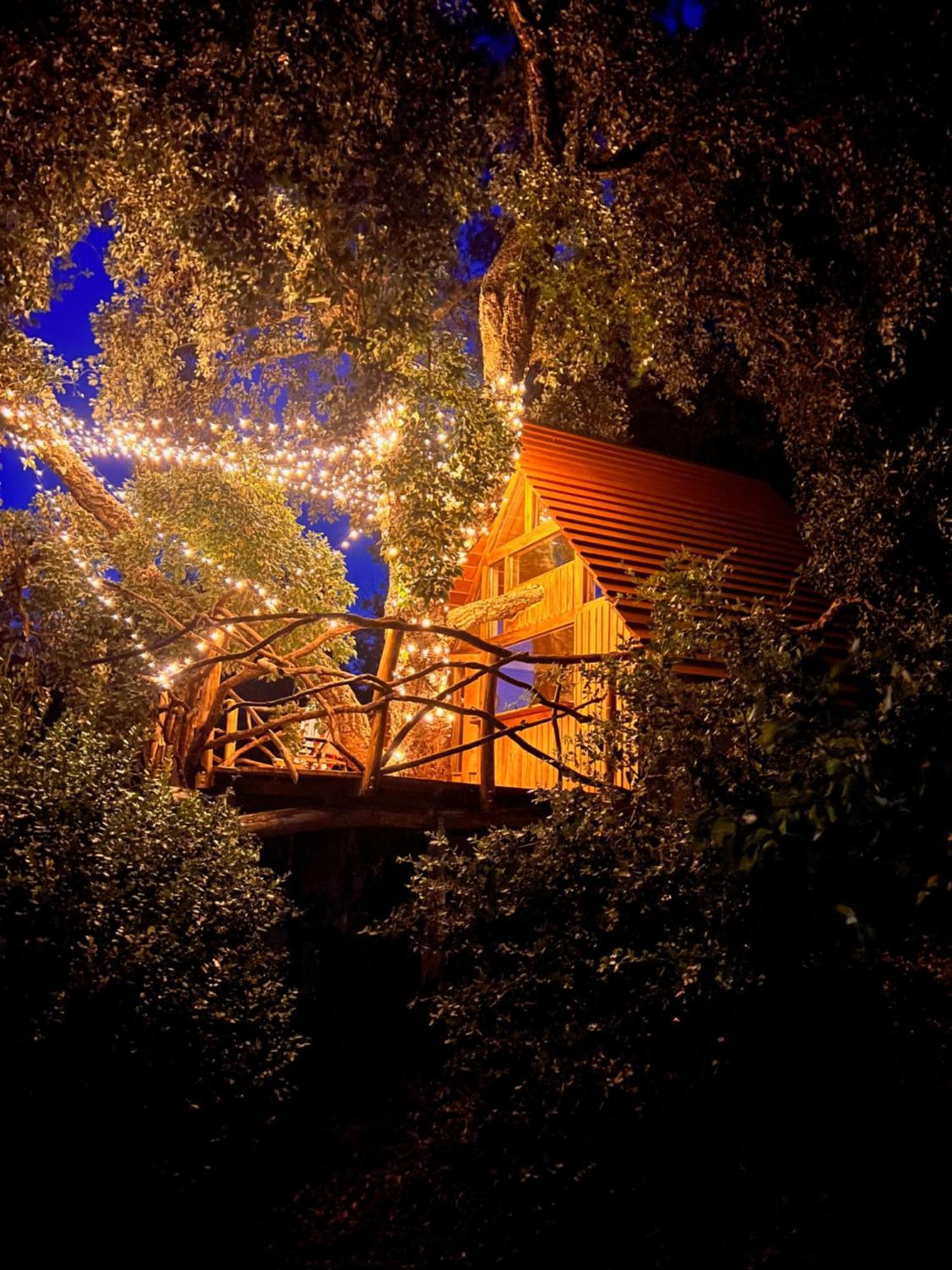 Agriturismo Pereti Roccatederighi ภายนอก รูปภาพ
