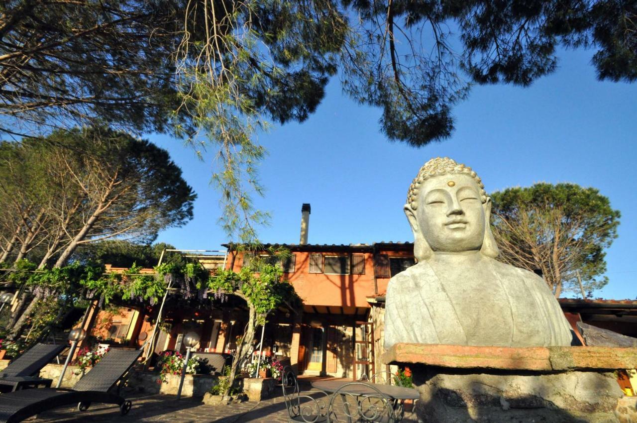 Agriturismo Pereti Roccatederighi ภายนอก รูปภาพ
