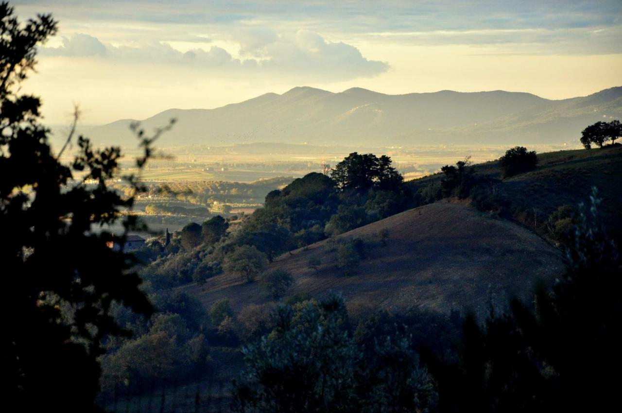 Agriturismo Pereti Roccatederighi ภายนอก รูปภาพ